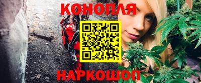 индика Беслан