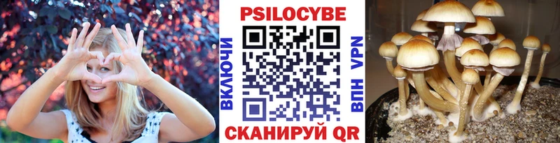 MEGA ссылка  Борзя  Псилоцибиновые грибы мицелий 