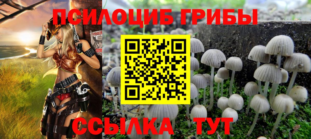 Галлюциногенные грибы мицелий Борзя