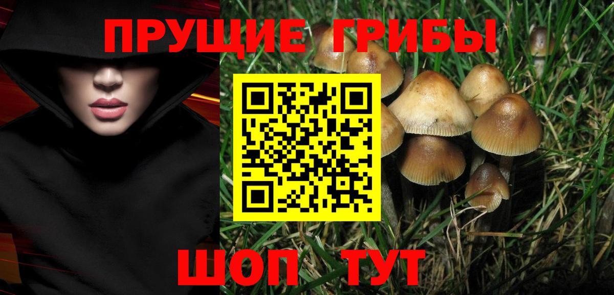 Борзя  купить наркоту  Вход с VPN  Галлюциногенные грибы Psilocybine cubensis 